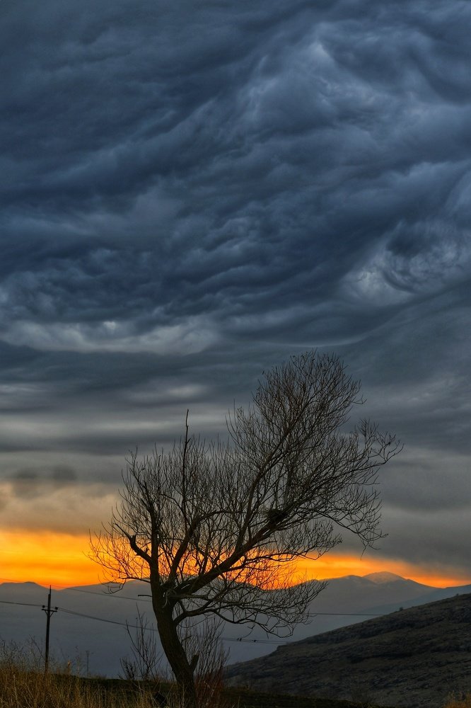 Photograph by Adl Abdolahi