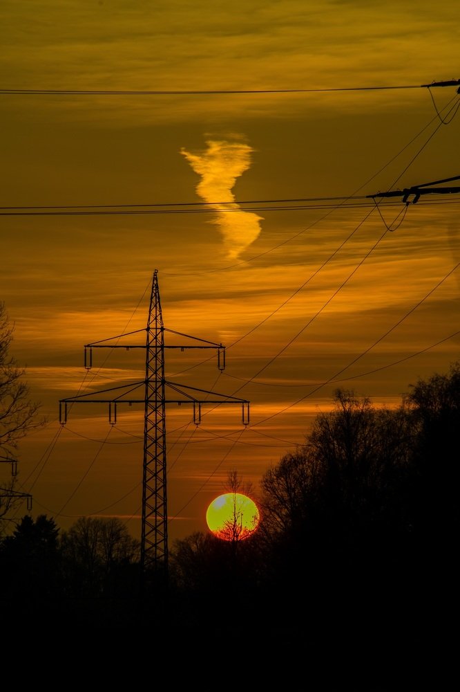 Photograph by Žanas Kalvaitis