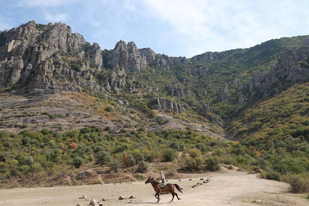 Вольный ветер