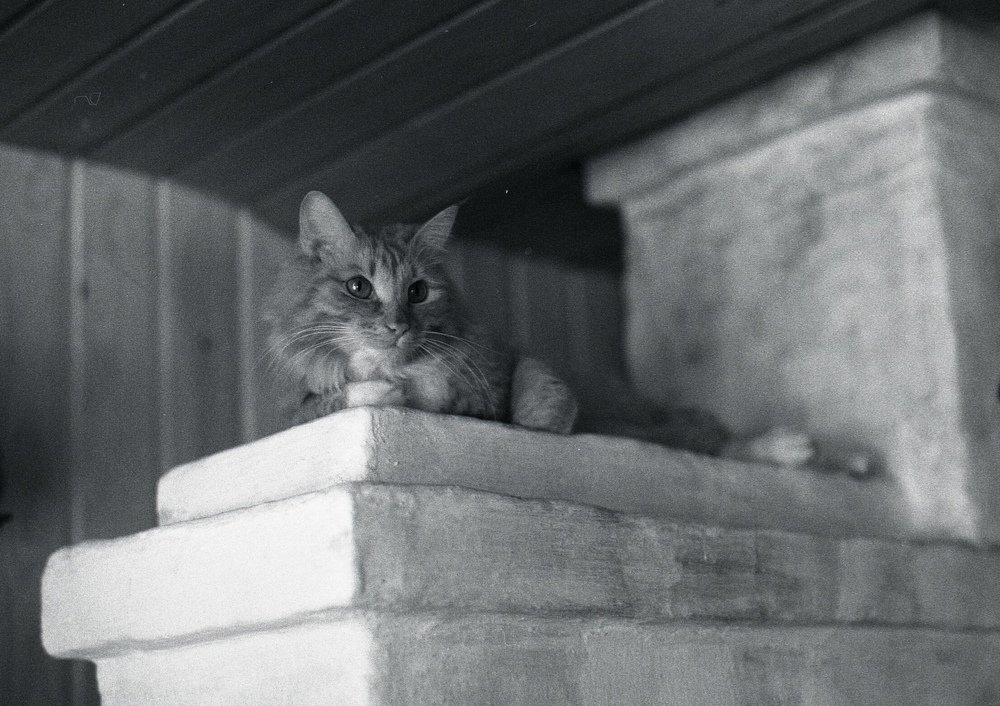 Фотография автора Илья Глобин