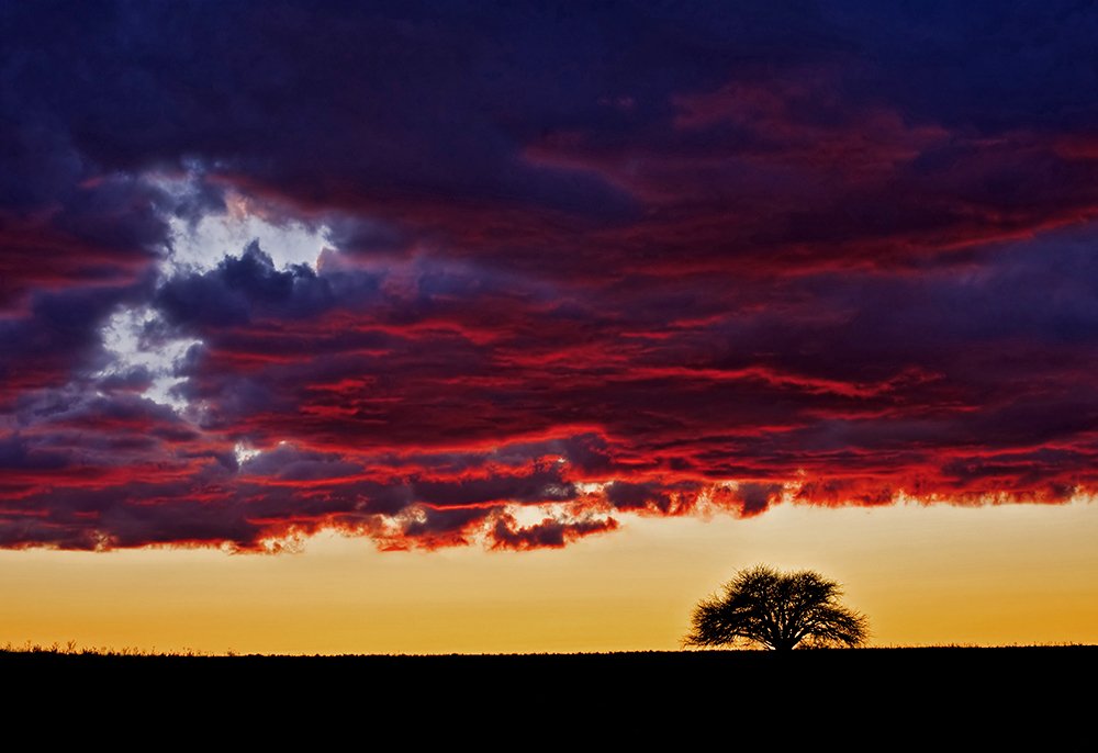 Ballad of heaven and caldén