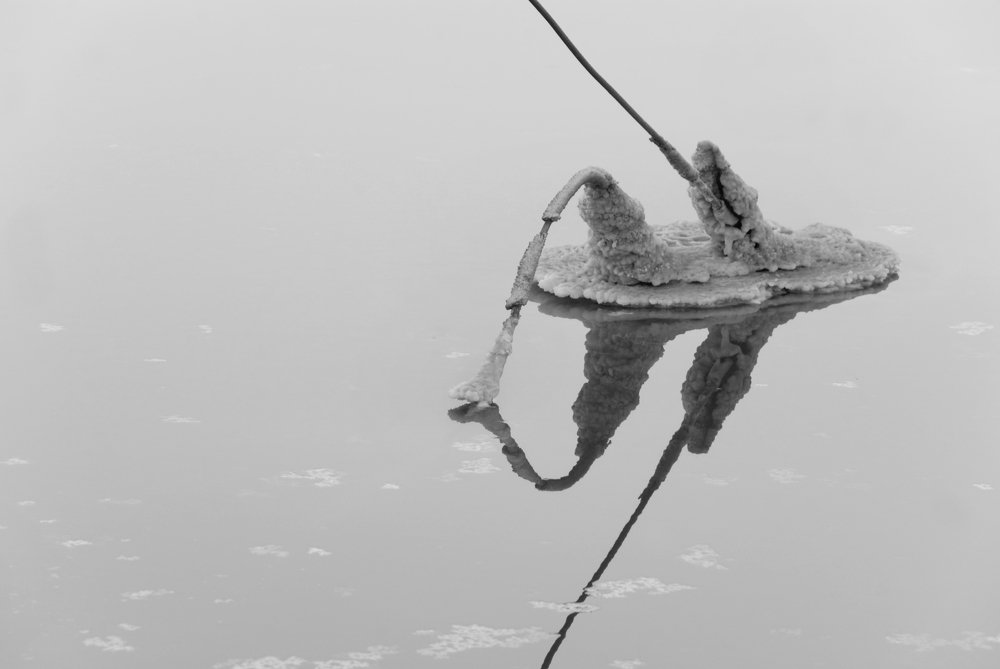 Мёртвое море 1