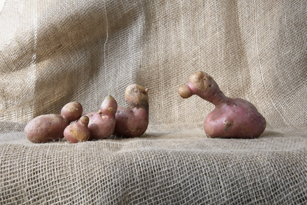 Знакомство с отцом