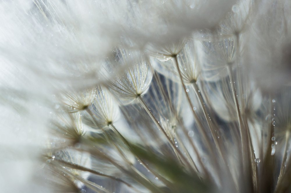 Photograph by Юлия Стадник