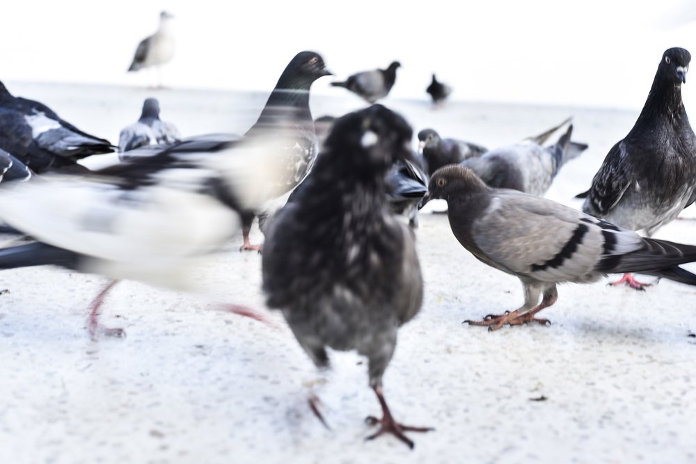 Фотография автора Сергей Кюббар