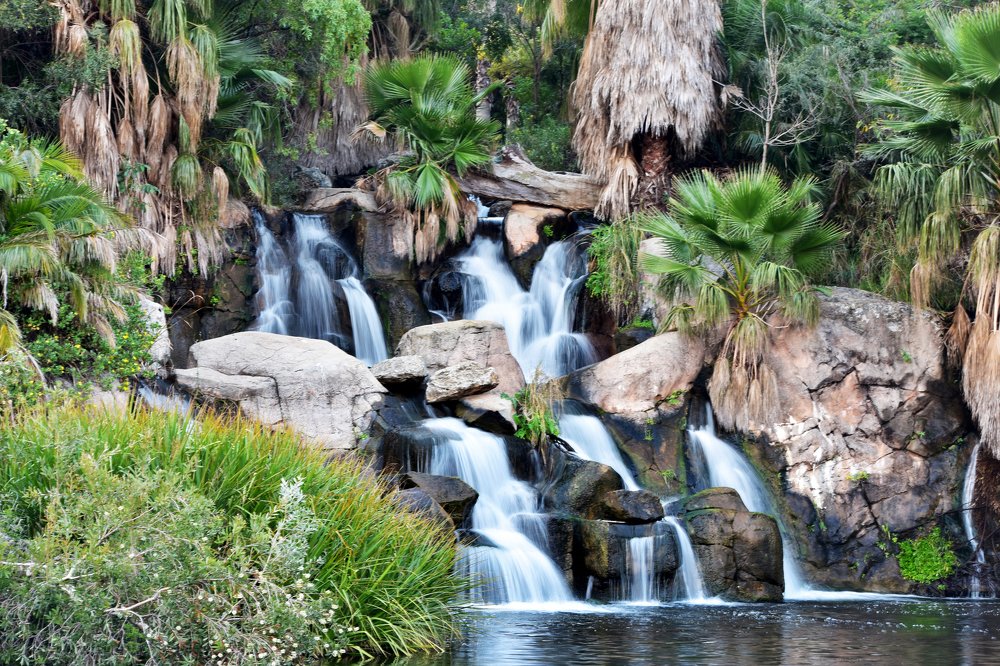 Nature is the best healer