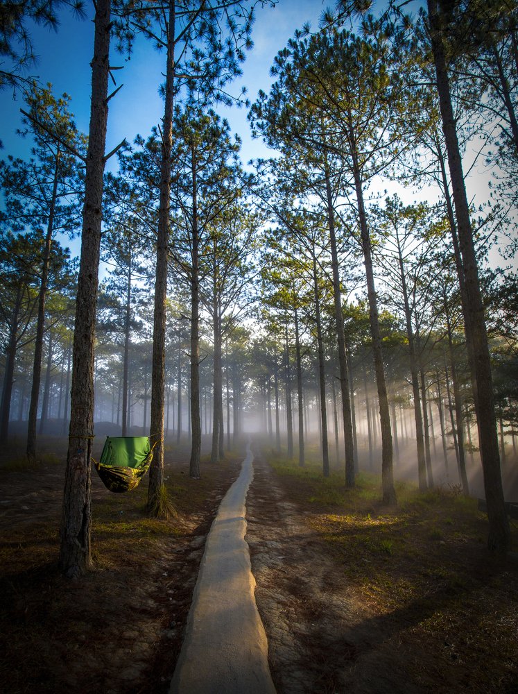 Life blends with nature