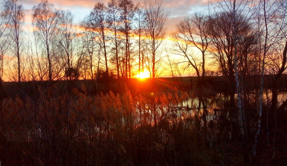 Закат на болоте