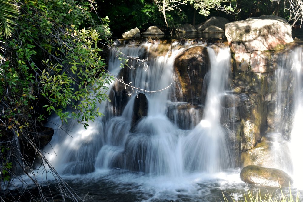 Sometimes falling may make you beautiful