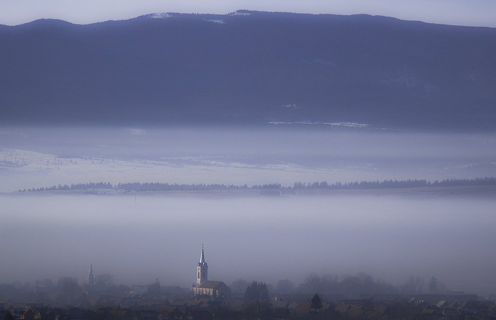 Fog homeland