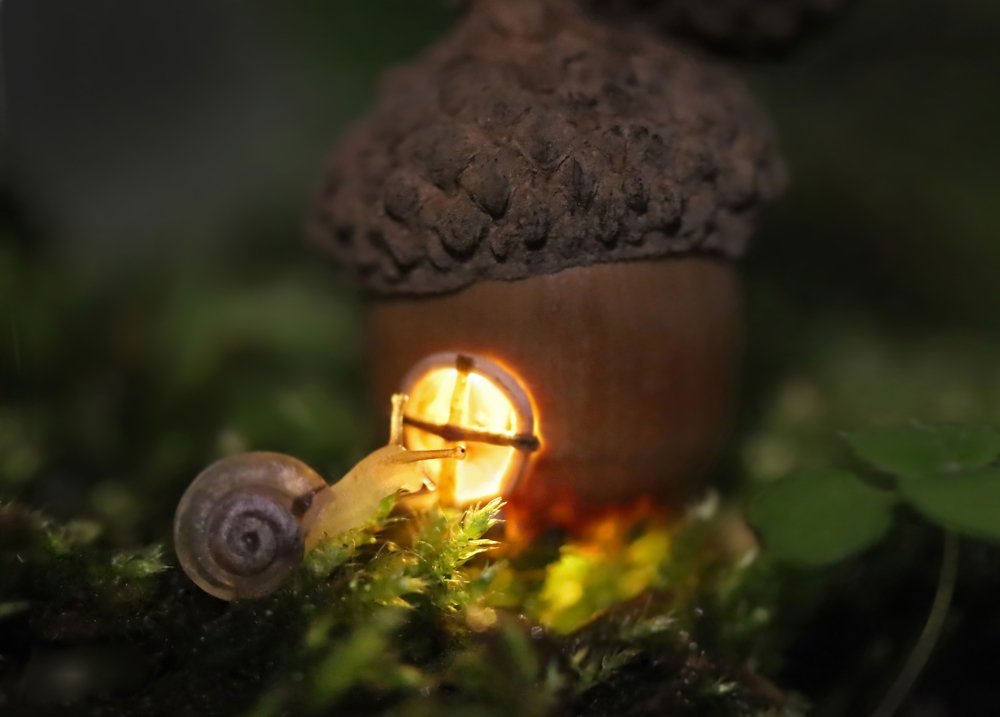 Летнее волшебство