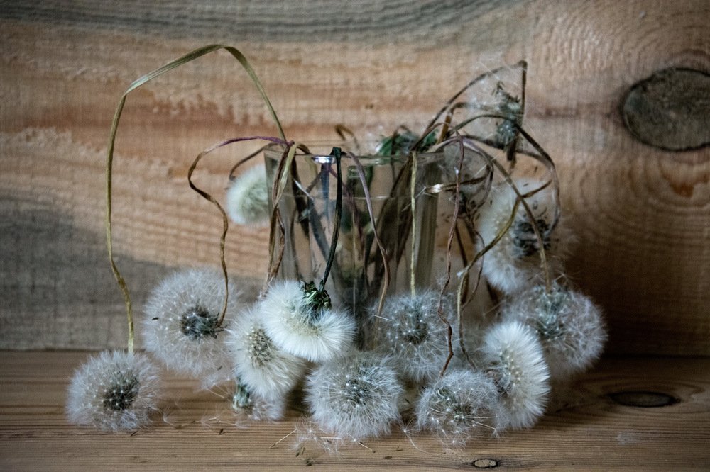 Обреченность