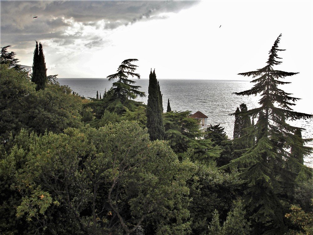 Перед грозой