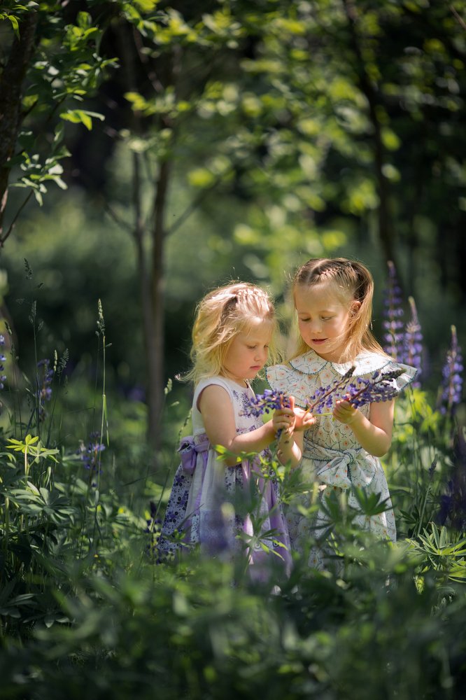 Photograph by Людмила Казакова