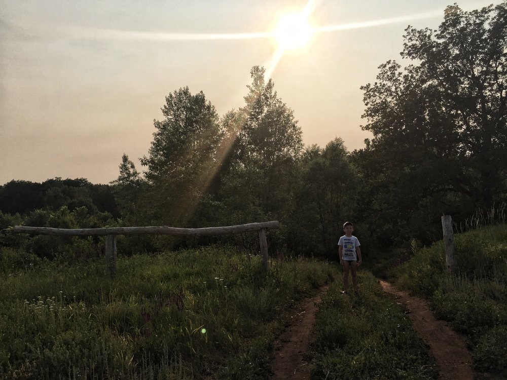 Закат в лесу