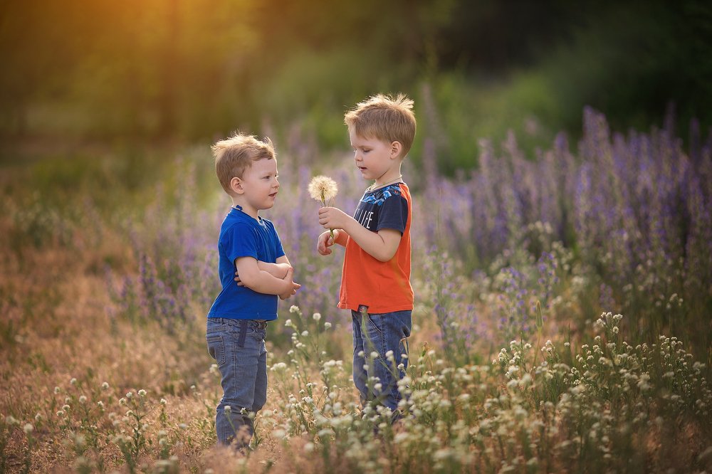 Про одуванчик