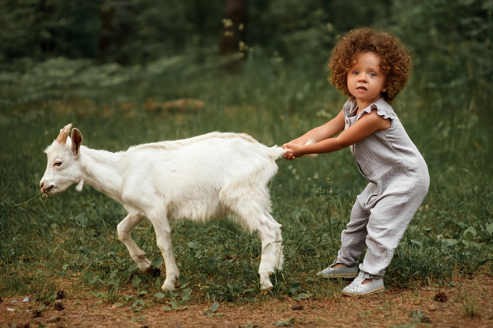 Природные инстинкты