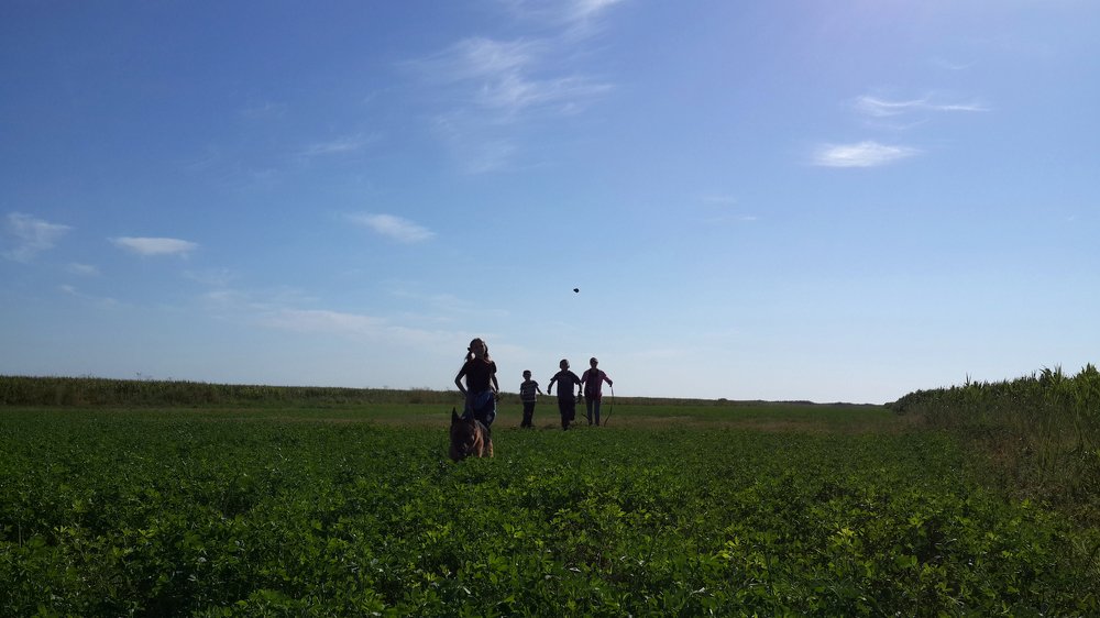 Photograph by Янинна Меровинг Илли