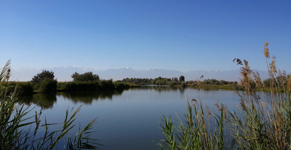 Photograph by Янинна Меровинг Илли