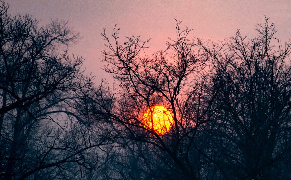 Зимний закат