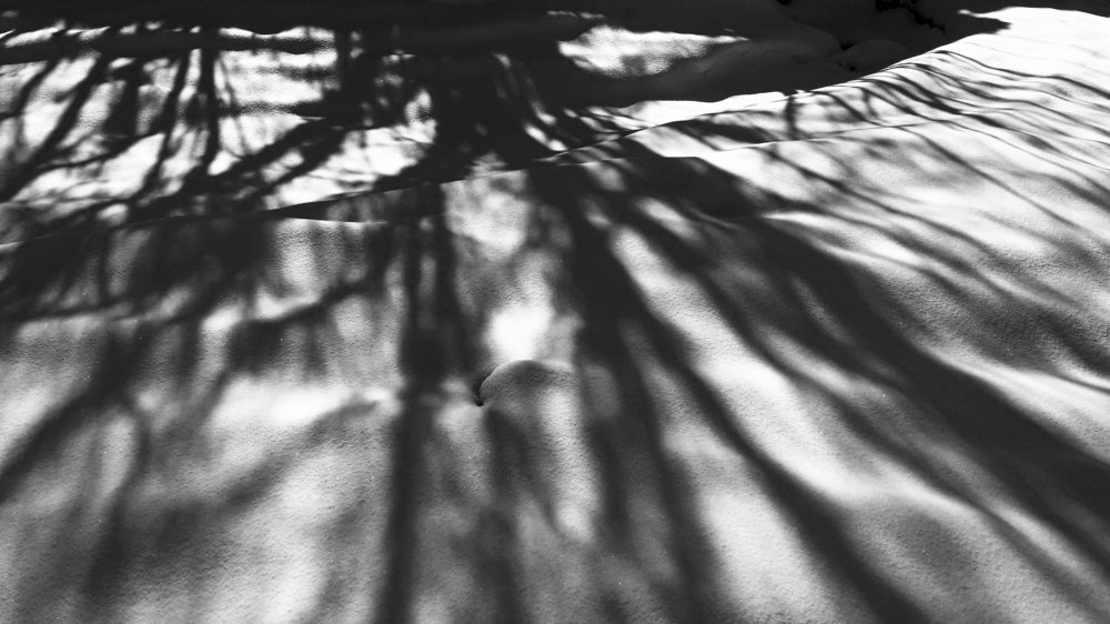 Photograph by Янинна Меровинг Илли