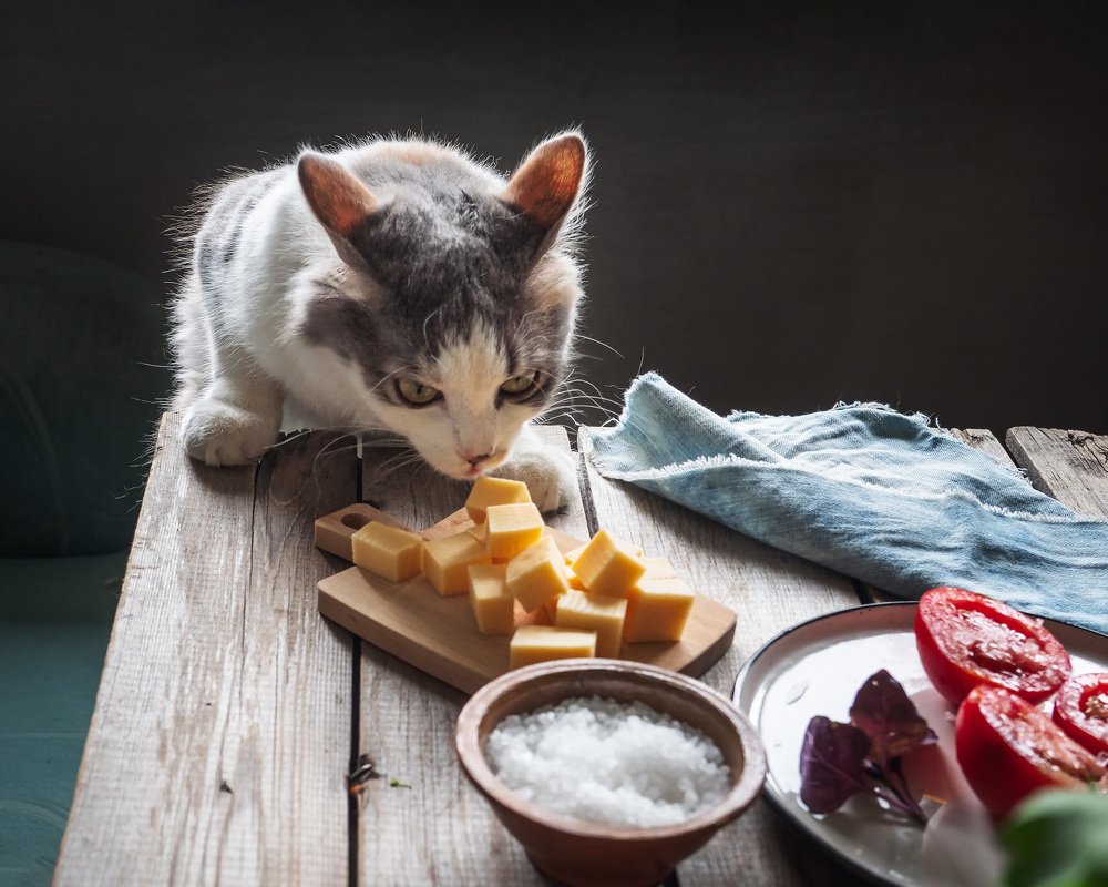 Маленький воришка