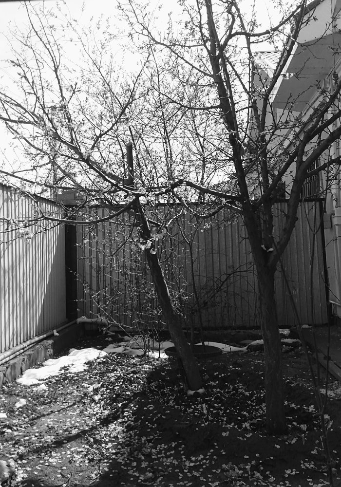 Рождение нового