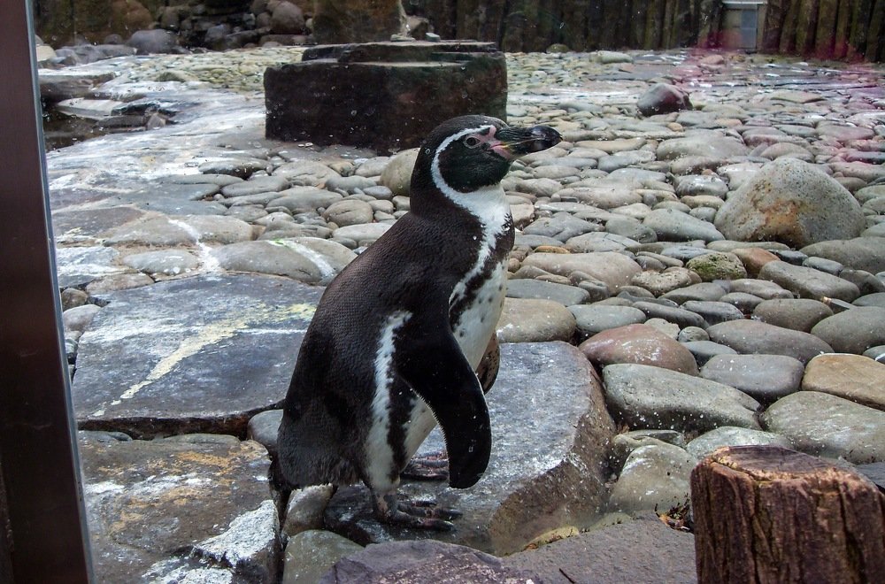 Photograph by Светлана