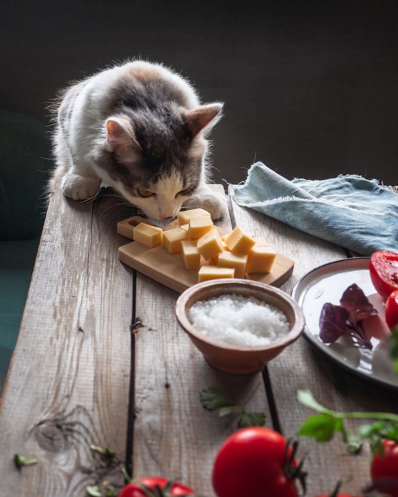 Маленький воришка