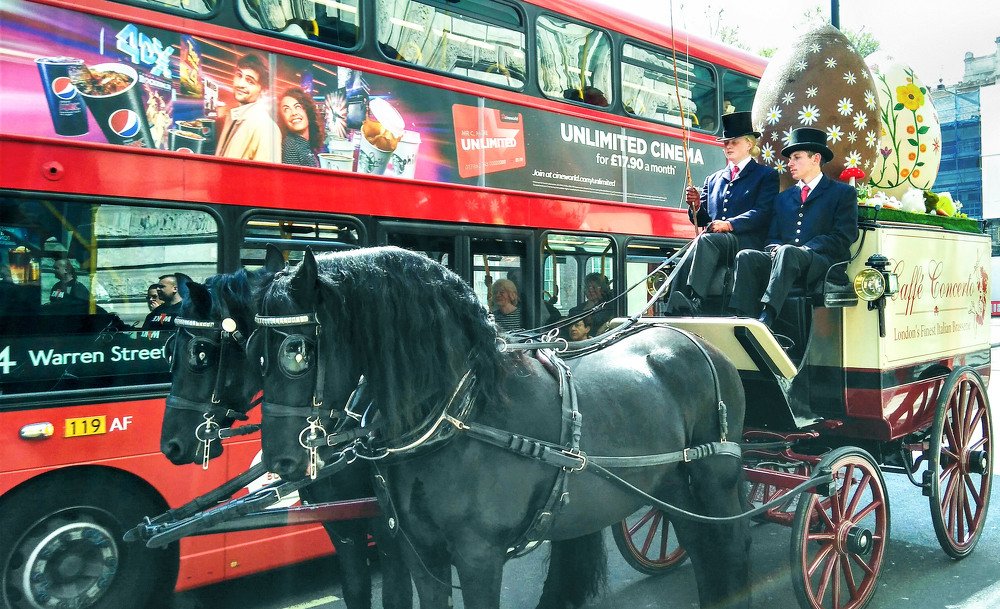 Photograph by Владимир Гречанинов