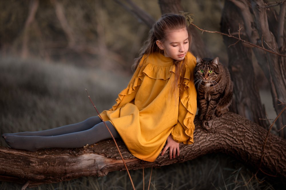 Чеширский Кот