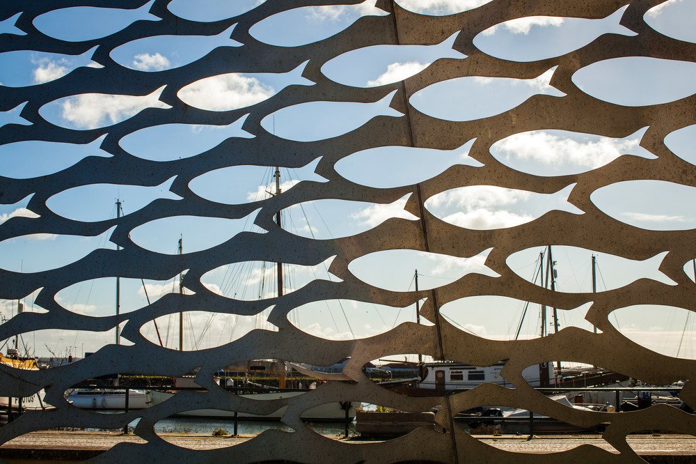 Небесные рыбы