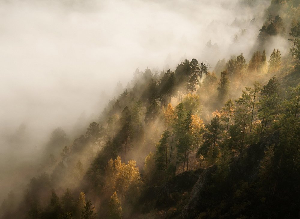 С первыми лучами.