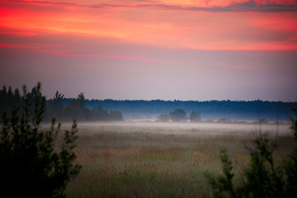Photograph by Анастасия Ломаева