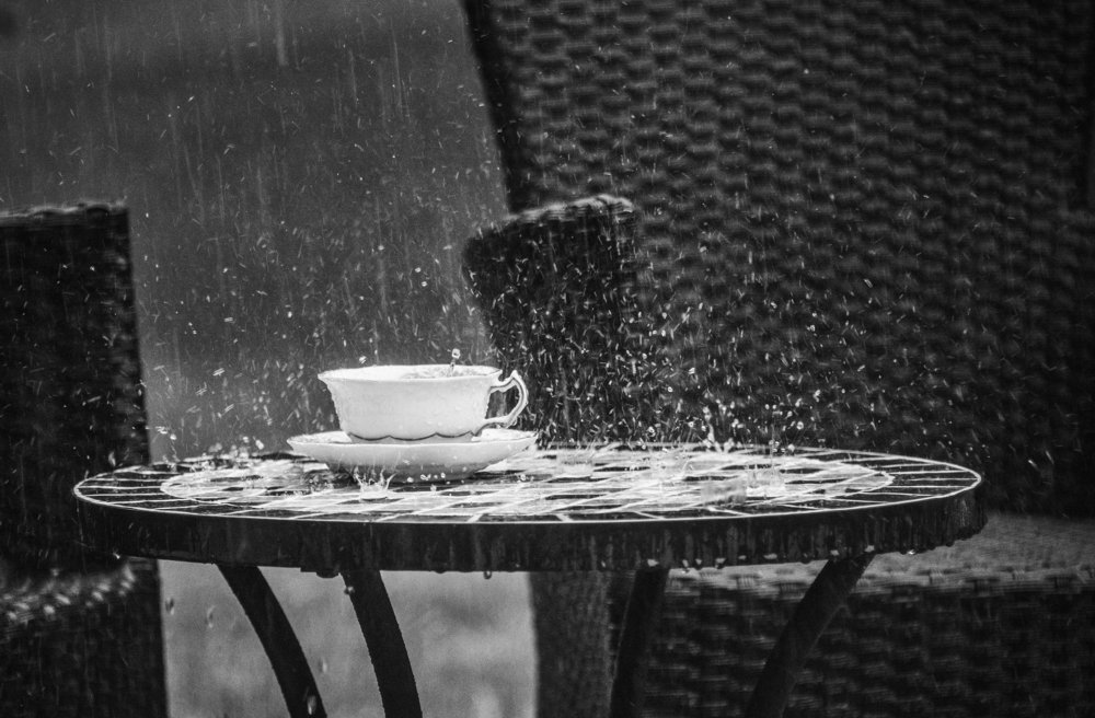 Дачное. Забытая чашка