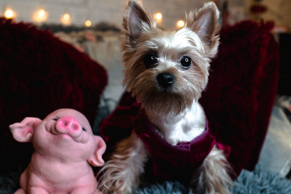 Photograph by Марина Денисова