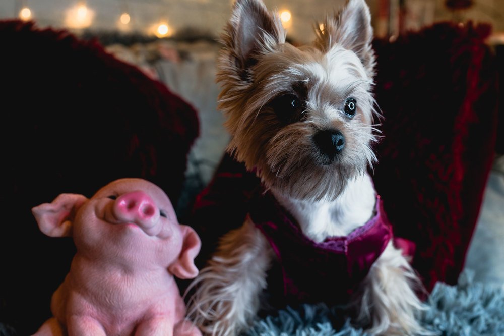 Photograph by Марина Денисова