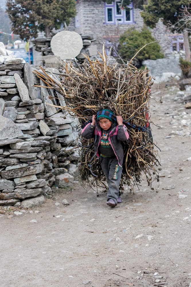 Дорога домой