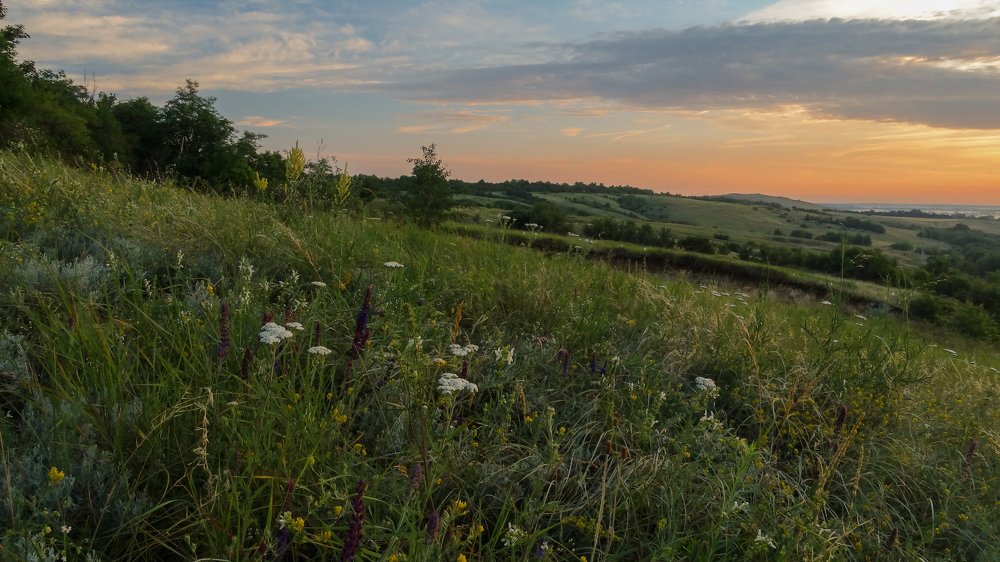 Photograph by Роман .