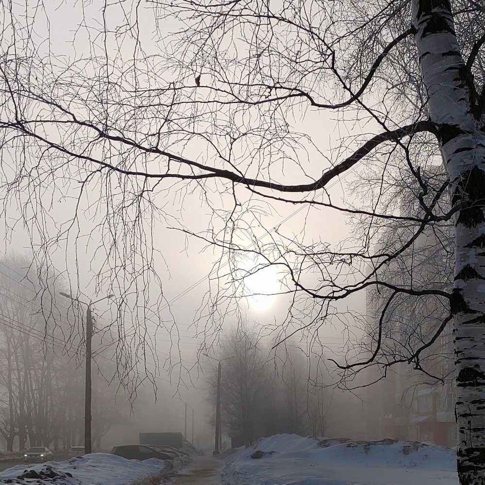Fog