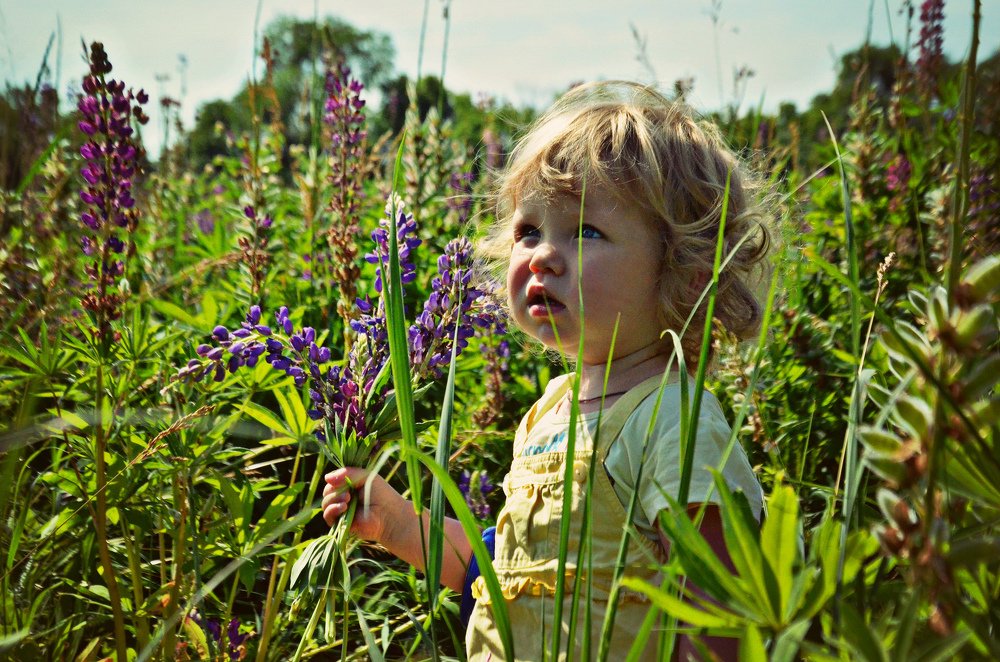 принцесска