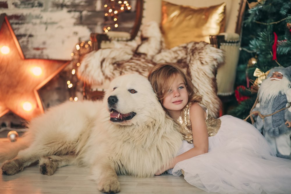 Новогодний