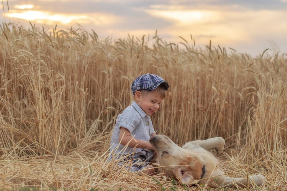 Летний вечер