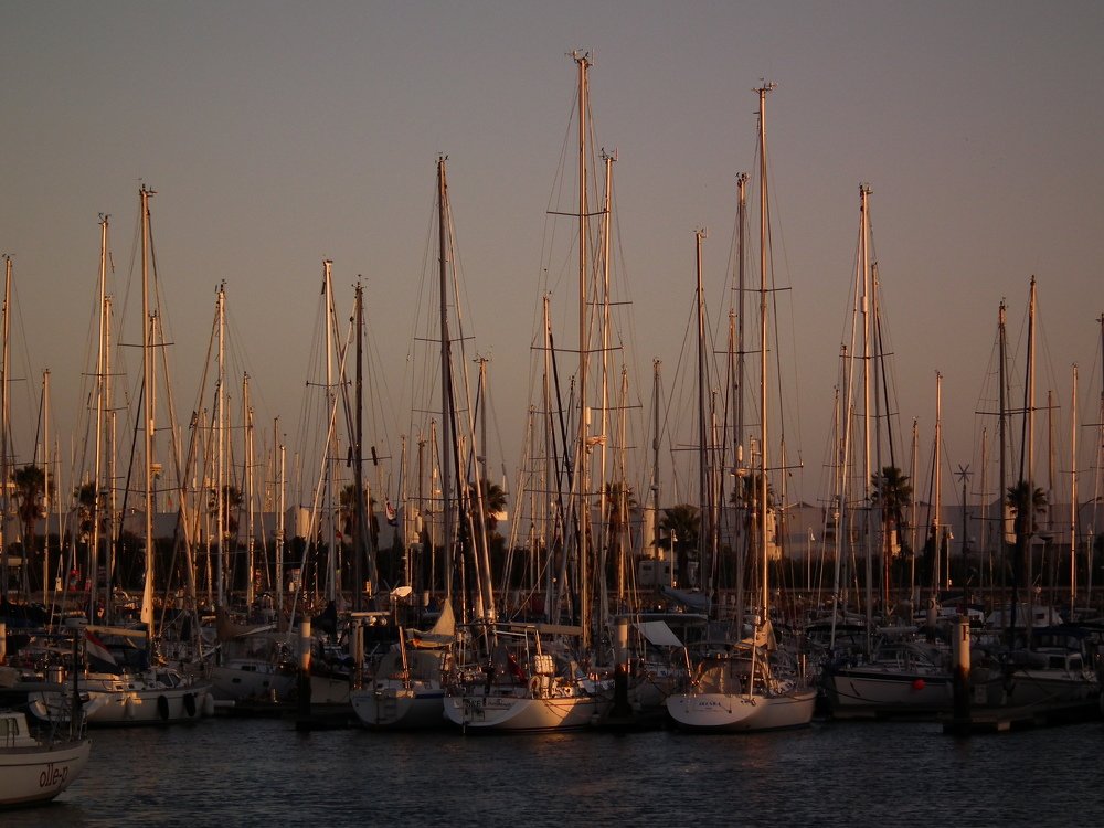 Sunset at the marina