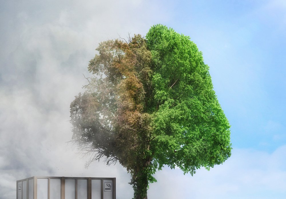 Recommend non smoking