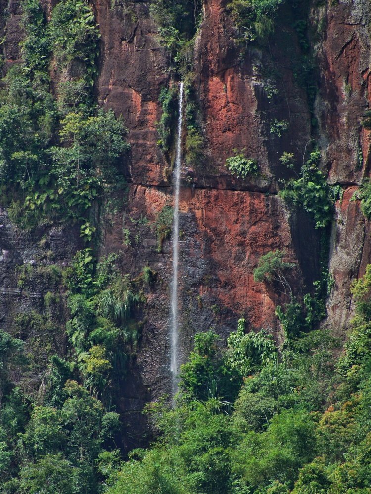 Harau