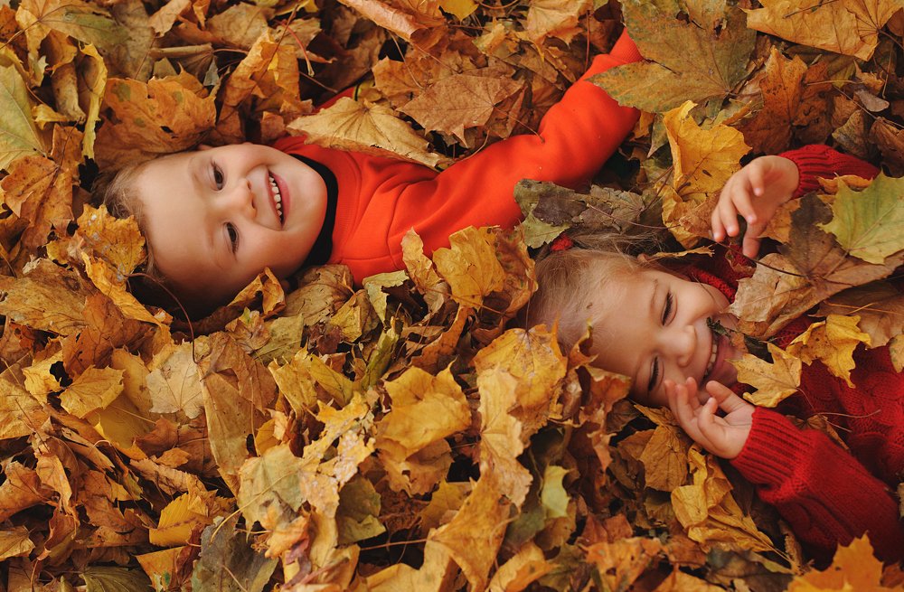 Осенние листья