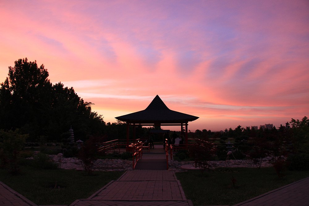 Вечер в беседке