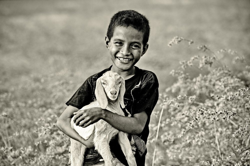 Boy and goat