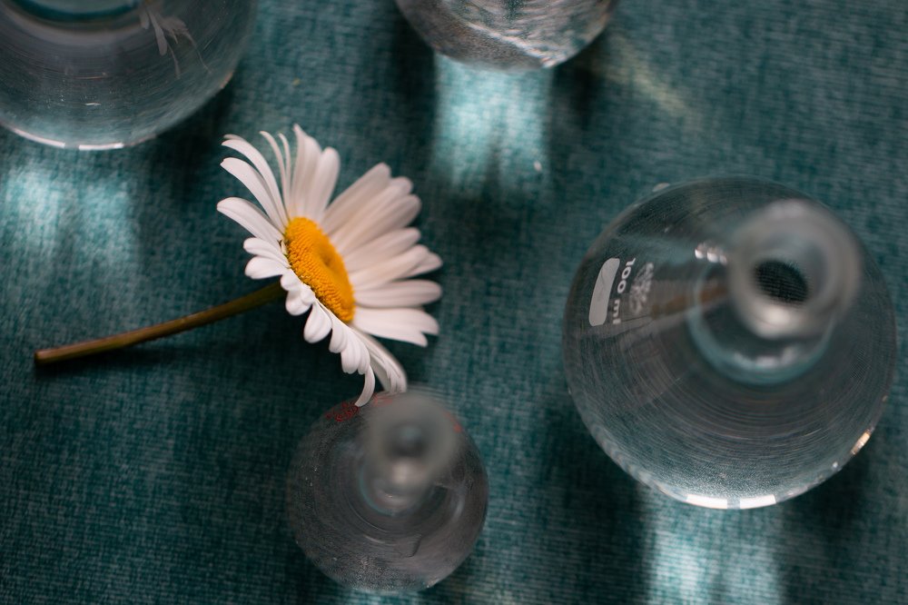 Photograph by Сергей Романченко